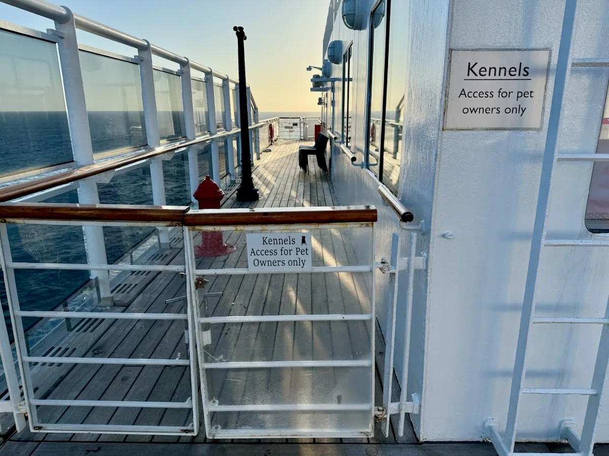 Can You Take Your Pet on a Cruise? Here's the Real Answer